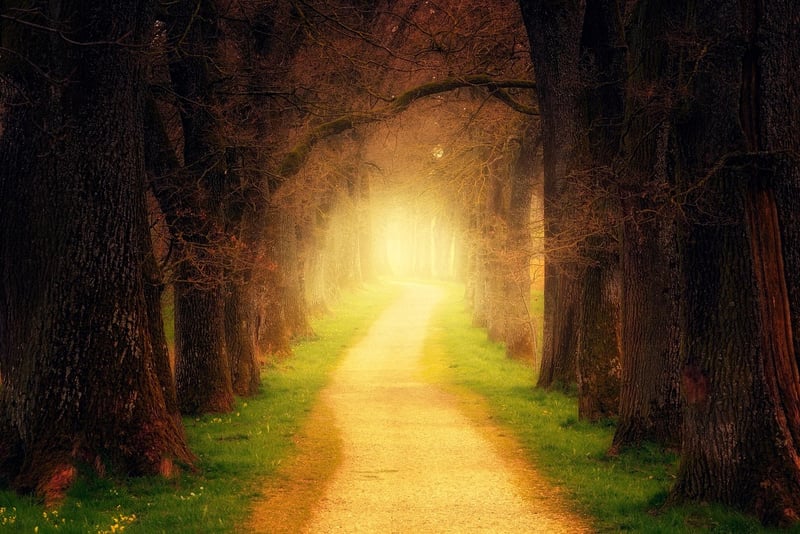 Nature Walk